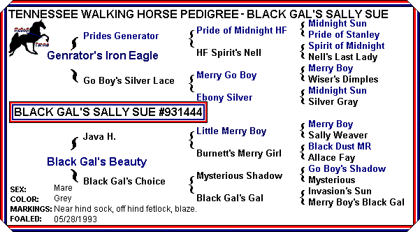 Black Gal's Sally Sue pedigree