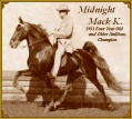 Midnight Mack K.-  1951 Four Year Old Champion